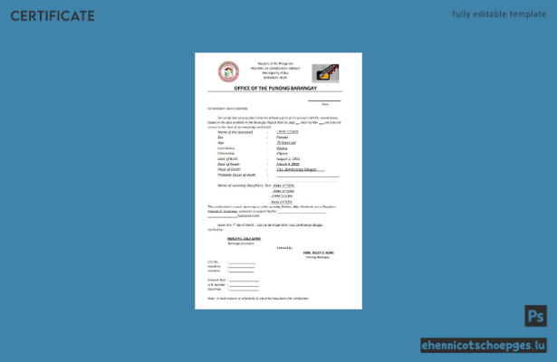 Mustervorschau des philippinischen Büros der Barangay-Sterbeurkunde in Punong